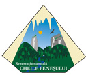 Cheile Feneşului